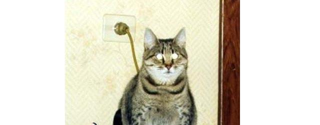 电力猫怎么使用和注意事项