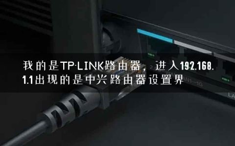 我的是TP-LINK路由器，进入192.168.1.1出现的是中兴路由器设置界