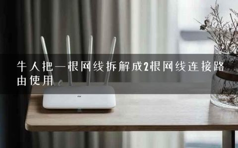 牛人把一根网线拆解成2根网线连接路由使用