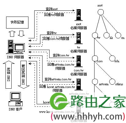 DNS协议简介