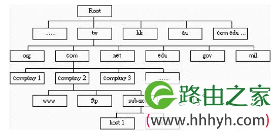 DNS协议简介