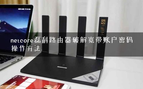 netcore磊科路由器破解宽带账户密码操作方法