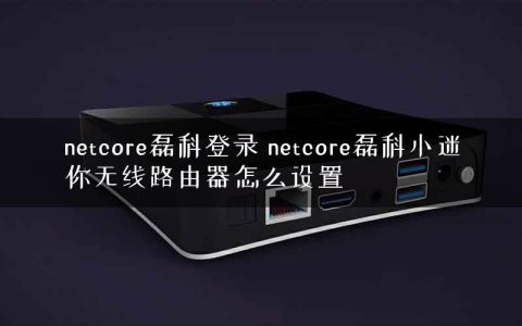 netcore磊科登录 netcore磊科小迷你无线路由器怎么设置