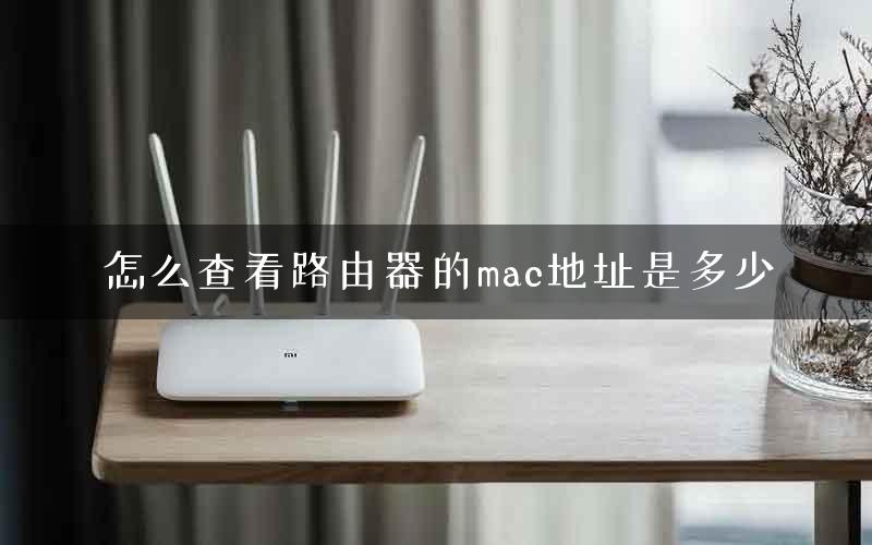 怎么查看路由器的mac地址是多少