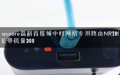 netcore磊科首推城中村网络专用路由NR289-E 带机量300