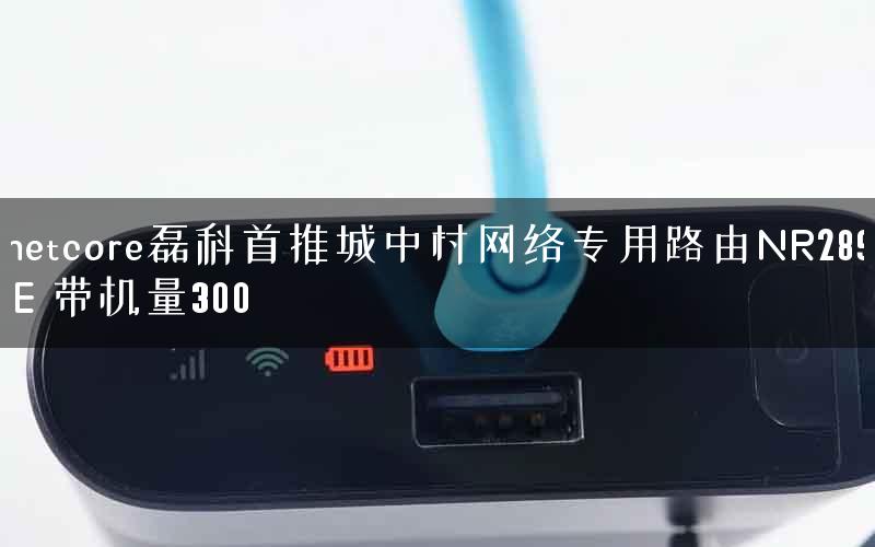 netcore磊科首推城中村网络专用路由NR289-E 带机量300