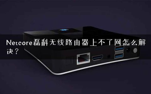 Netcore磊科无线路由器上不了网怎么解决？