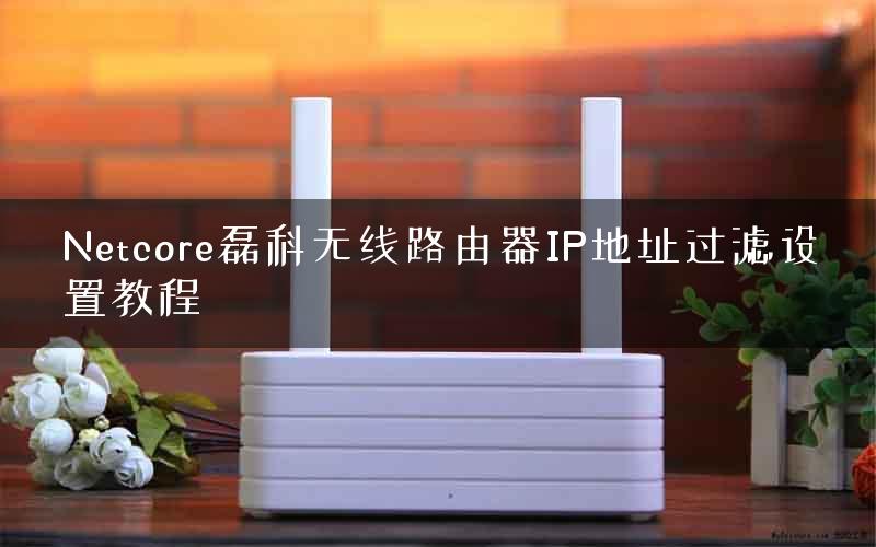 Netcore磊科无线路由器IP地址过滤设置教程