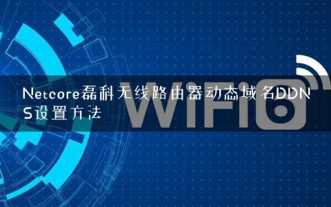 Netcore磊科无线路由器动态域名DDNS设置方法