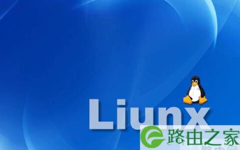 linux系统如何重新分配ip地址方法(图)