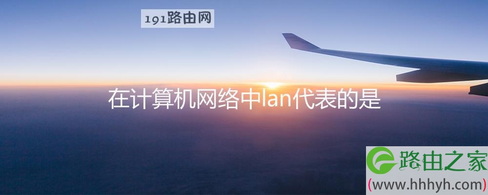 在计算机网络中lan代表的是