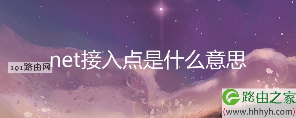 net接入点是什么意思