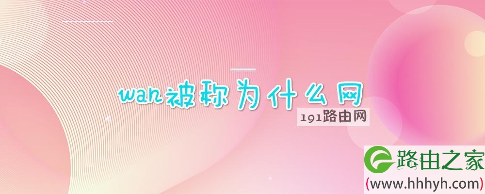 wan被称为什么网