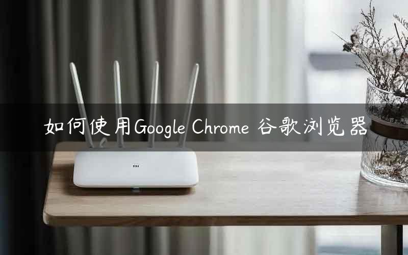 如何使用Google Chrome 谷歌浏览器