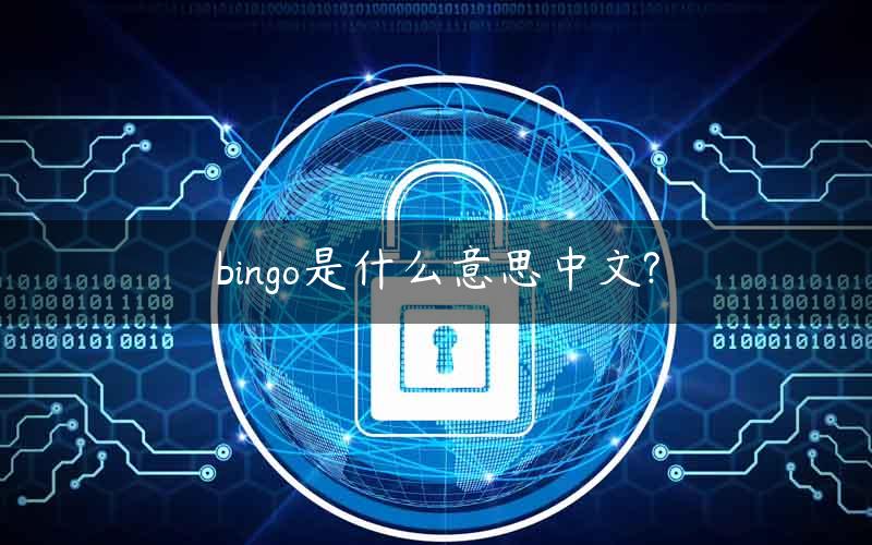 bingo是什么意思中文?