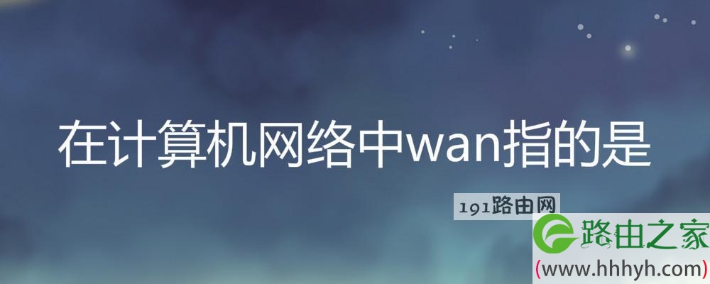在计算机网络中wan指的是