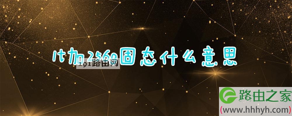 1t加256g固态什么意思