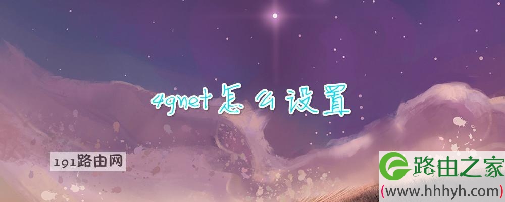 4gnet怎么设置
