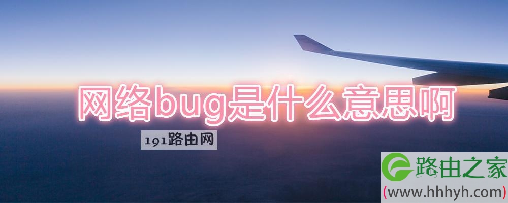 网络bug是什么意思啊