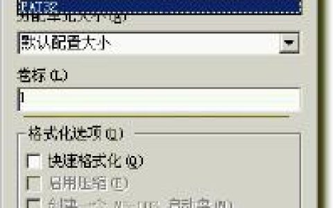 U盘FAT32格式和NTFS格式哪种好