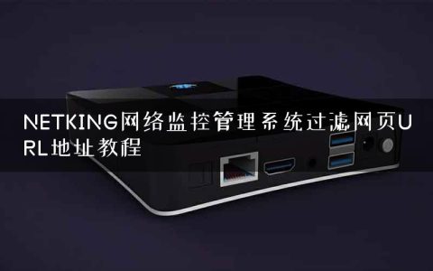 NETKING网络监控管理系统过滤网页URL地址教程