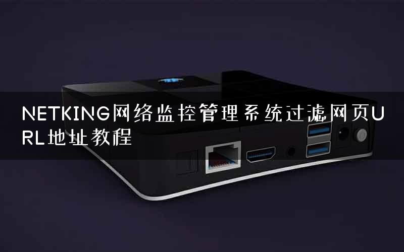 NETKING网络监控管理系统过滤网页URL地址教程