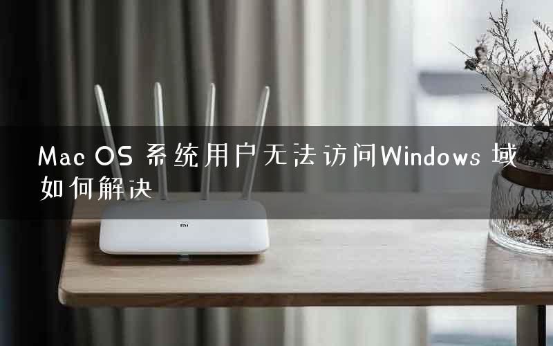 Mac OS 系统用户无法访问Windows 域如何解决