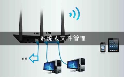 系统大文件管理