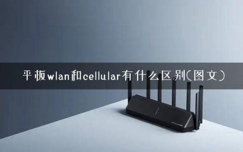 平板wlan和cellular有什么区别(图文)