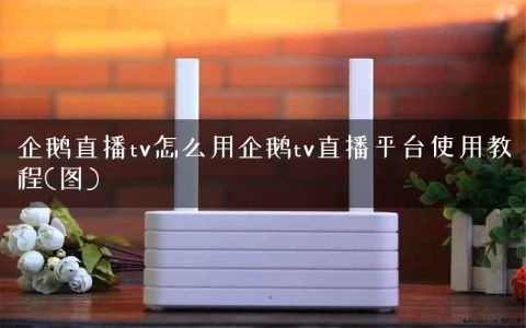 企鹅直播tv怎么用企鹅tv直播平台使用教程(图)