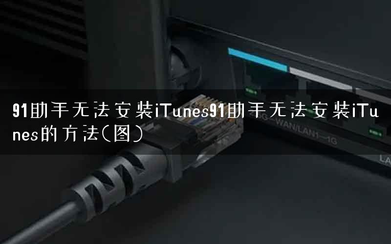 91助手无法安装iTunes91助手无法安装iTunes的方法(图) 91助手无法安装iTunes91助手无法安装iTunes的方法(图)