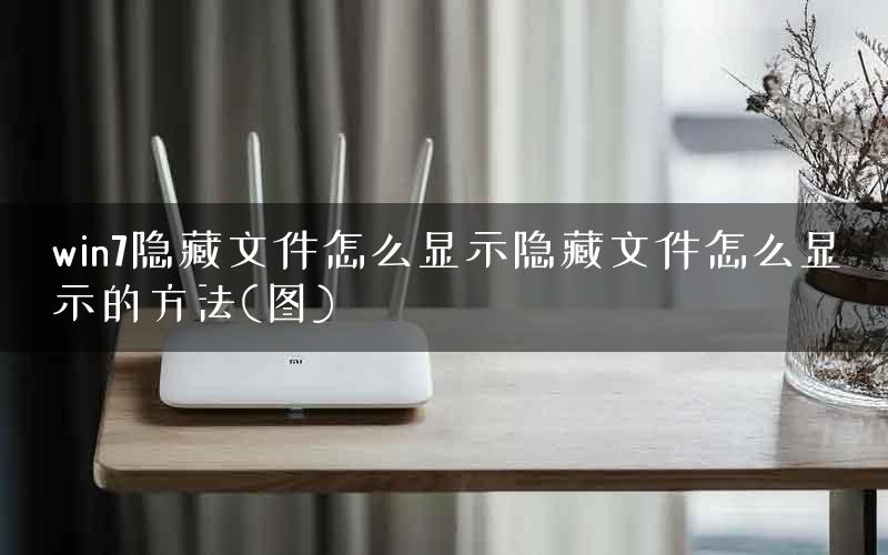 win7隐藏文件怎么显示隐藏文件怎么显示的方法(图)