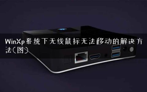 WinXp系统下无线鼠标无法移动的解决方法(图)