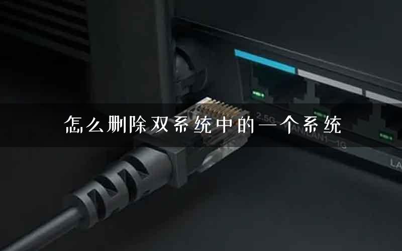 怎么删除双系统中的一个系统