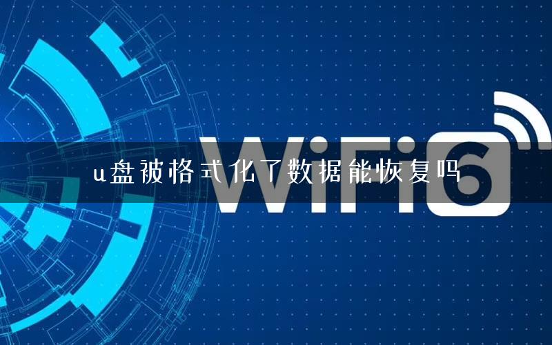 u盘被格式化了数据能恢复吗