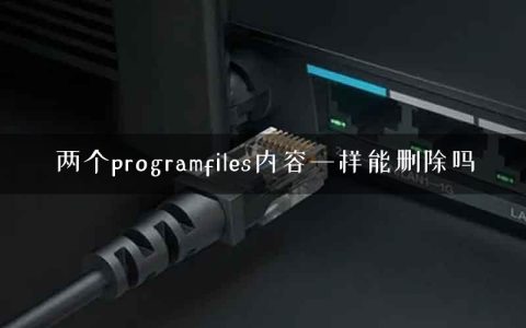 两个programfiles内容一样能删除吗