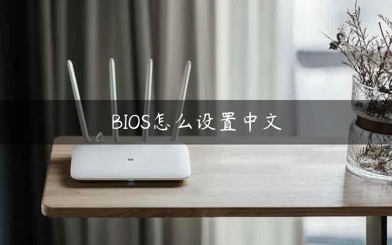BIOS怎么设置中文