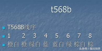 20210912053351832