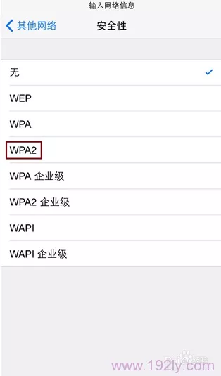 输入名称后，选择安全性