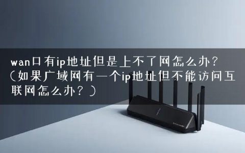 wan口有ip地址但是上不了网怎么办？(如果广域网有一个ip地址但不能访问互联网怎么办？)