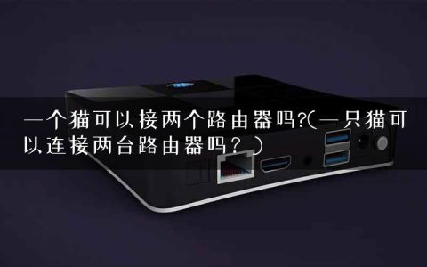 一个猫可以接两个路由器吗?(一只猫可以连接两台路由器吗？)