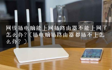 网线插电脑能上网插路由器不能上网了怎么办？(插电脑插路由器都插不上怎么办？)