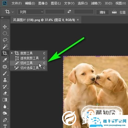 ps怎么切图？保存下来？