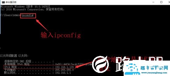 逍遥安卓模拟器网页版 电脑手机ios安卓都能玩手游