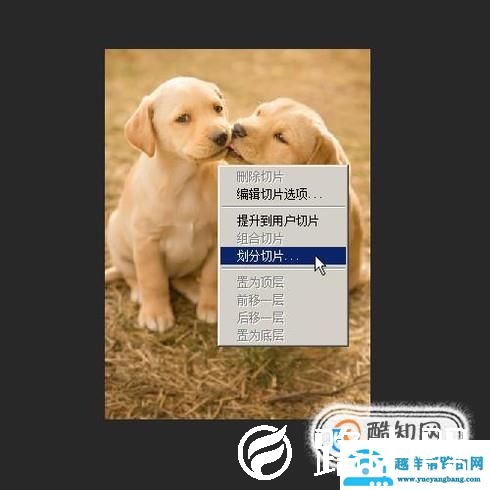 ps怎么切图？保存下来？