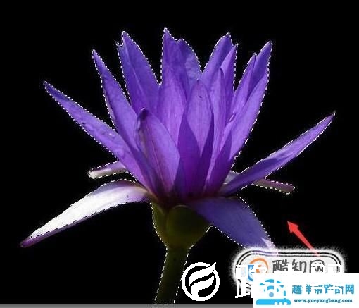 Photoshop里面的快速选择工具