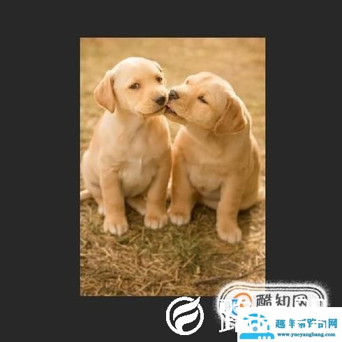 ps怎么切图？保存下来？