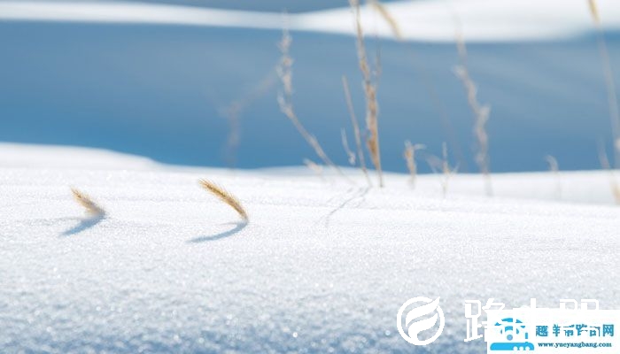 微信早安问候语