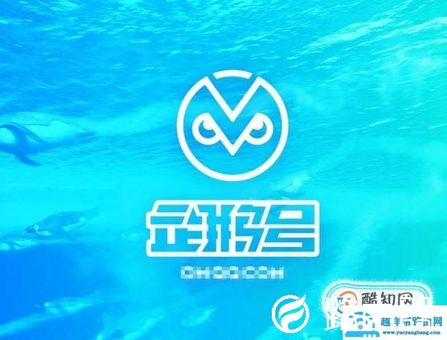 有哪些好的自媒体平台推荐？
