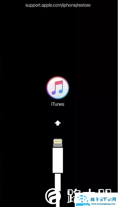 iphone已停用恢复